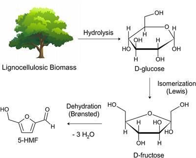 Influence of Dimethylsulfoxide and Dioxygen in the Fructose Conversion to 5-Hydroxymethylfurfural Mediated by Glycerol's Acidic Carbon